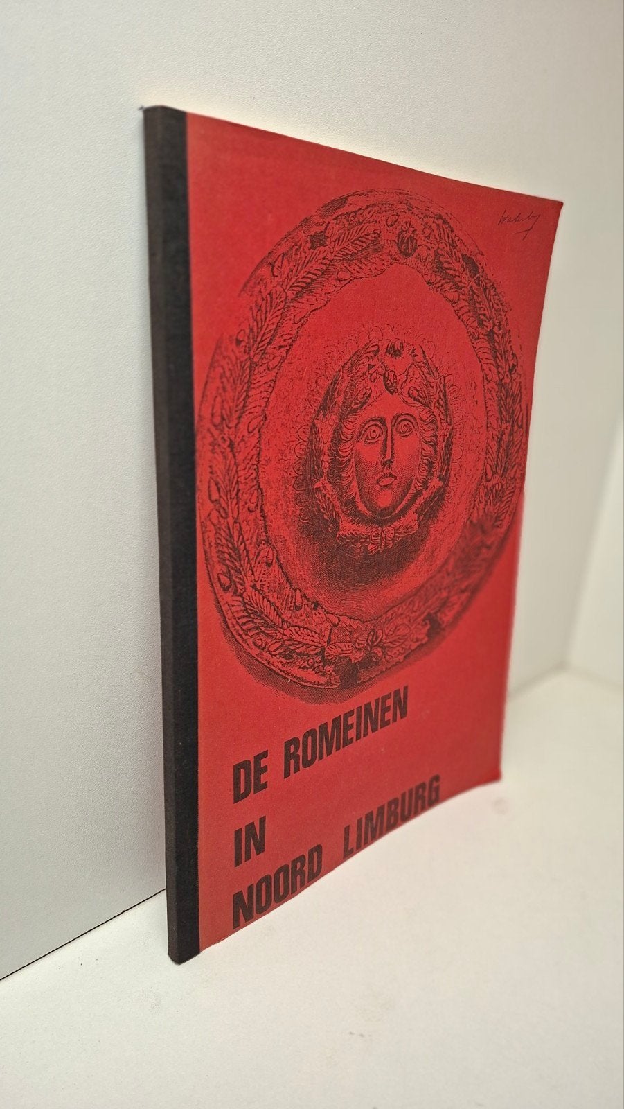 De Romeinen in Noord Limburg, Ophalen of Verzenden, Gelezen