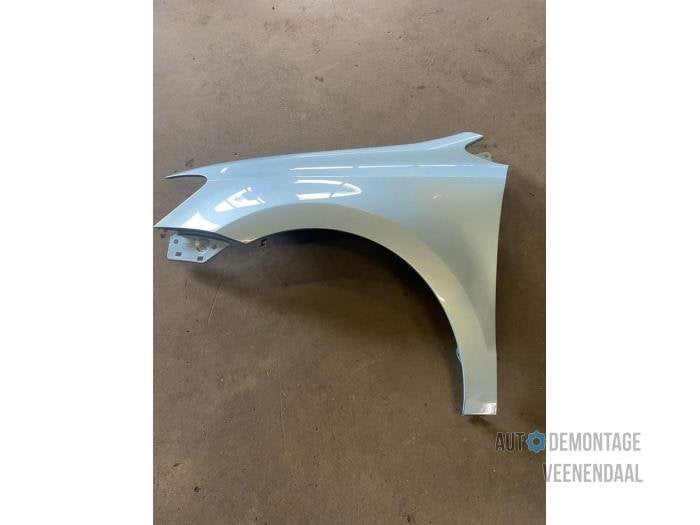 Scherm links-voor van een Volkswagen Polo (LD5M), -, Volkswagen, -, Nieuw