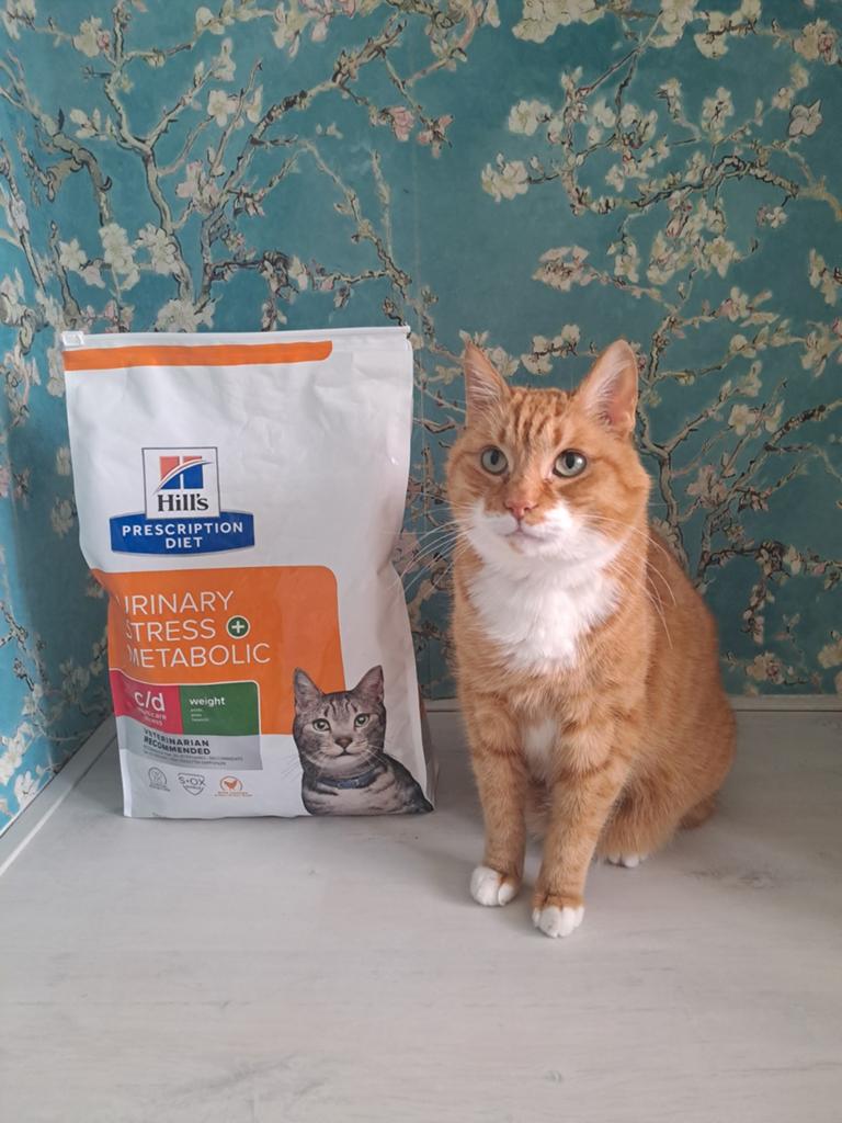 Hills urinary brokken, Dieren en Toebehoren, Ophalen of Verzenden