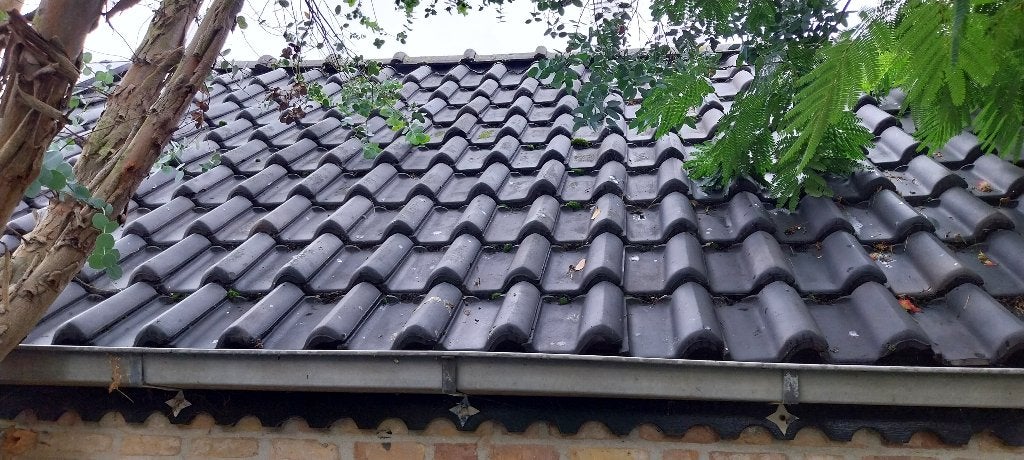Dakpannen Gebr. Laumans Tegelen (ongebruikt), Ophalen, Steen of Klei, Nieuw, 15 m² of meer