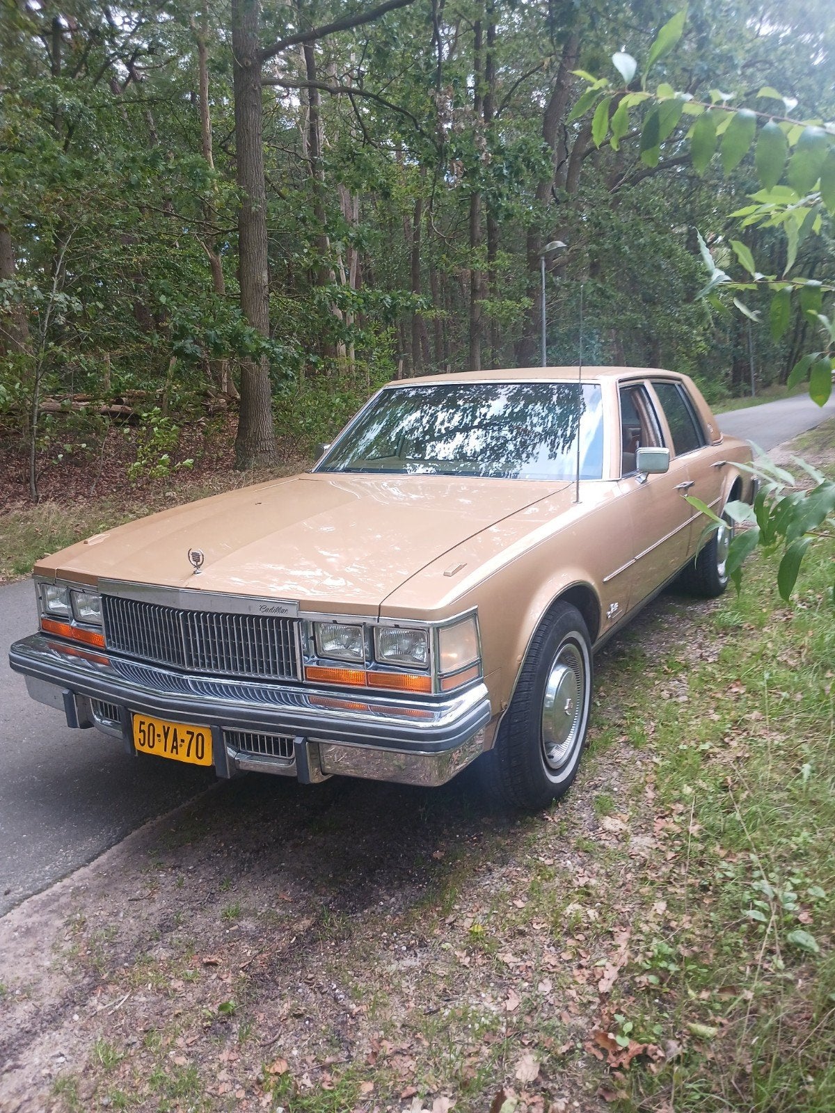 CADILLAC SEVILLE 1976 V8 LPG IZGS, Auto's, Bruin, Bruin, Metallic lak, Particulier