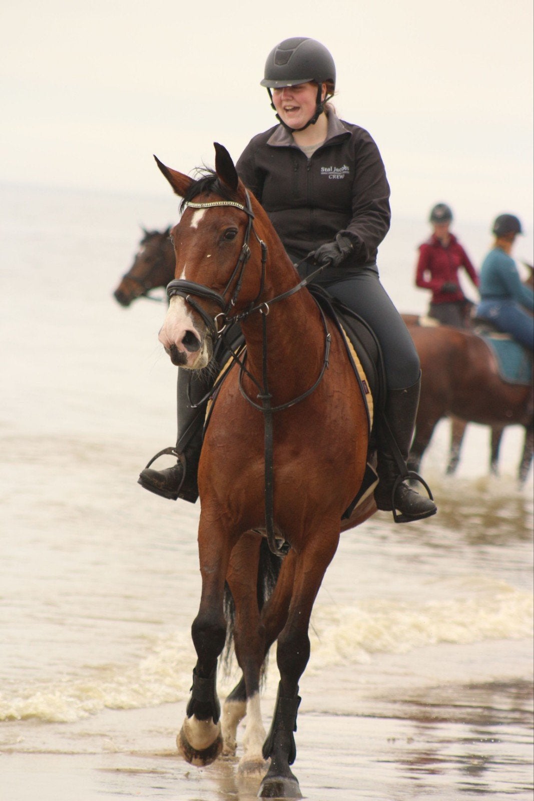 Lieve merrie te koop, Dieren en Toebehoren, Merrie, Met stamboom, Niet van toepassing, 160 tot 165 cm