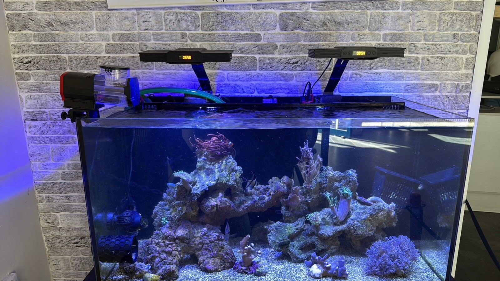 Compleet zeeaquarium te koop Waterbox AIO 50.3, Dieren en Toebehoren, Vissen | Aquaria en Toebehoren, Ophalen, Gevuld zeewateraquarium