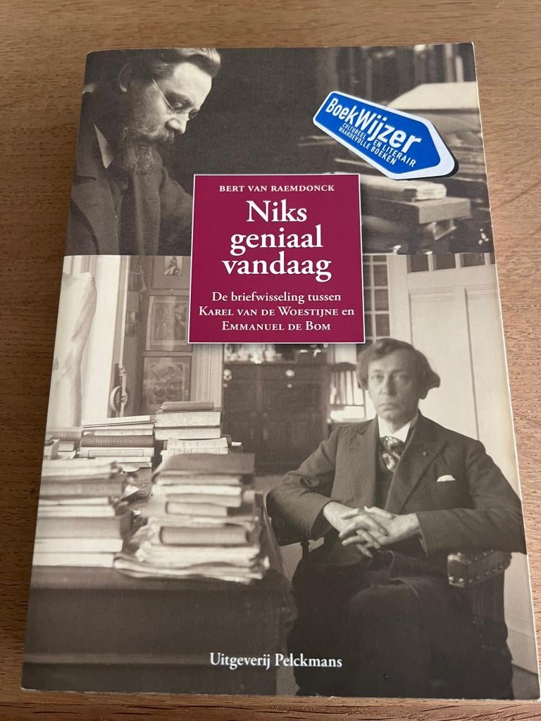 Niks geniaal vandaag, de briefwisseling tussen Karel v d Woe, Kunst en Cultuur, Ophalen of Verzenden, Zo goed als nieuw, Bert van Raemdonck
