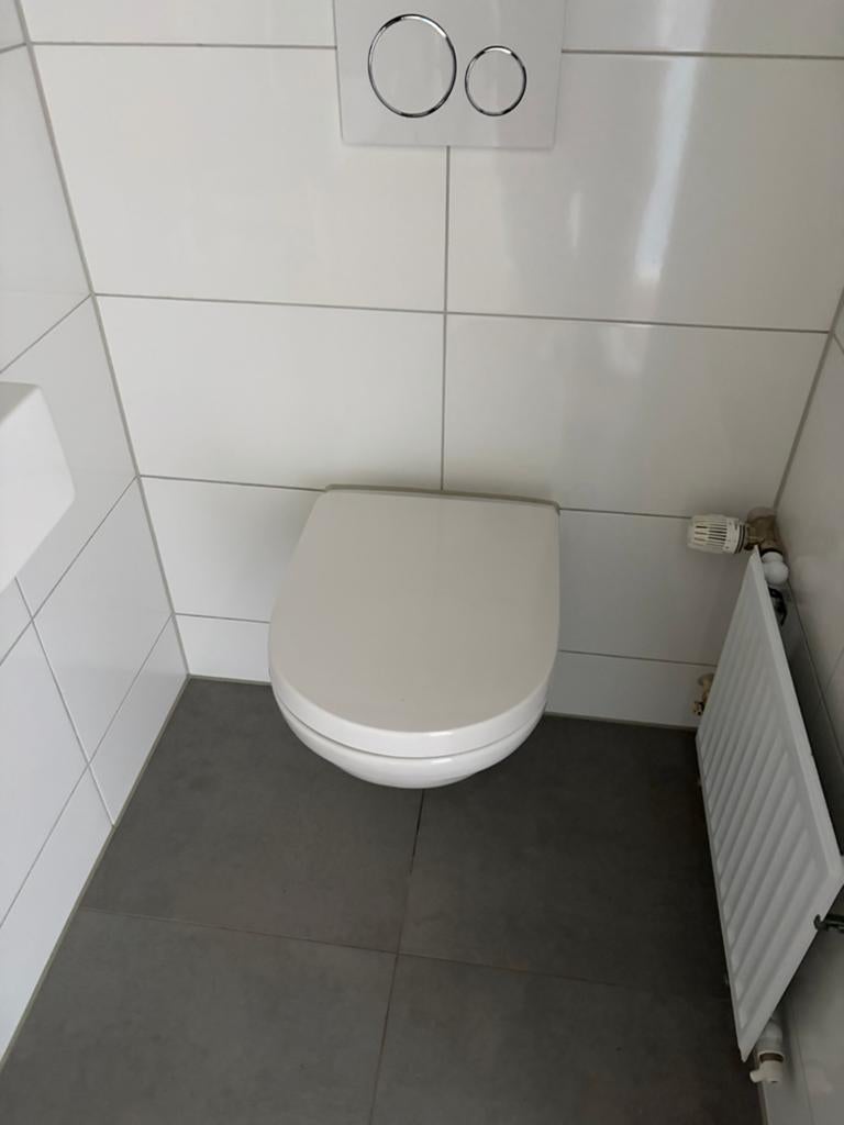 Inbouw WC-pot en Wastafel - Modern en Compact, Ophalen, Zo goed als nieuw, Toilet