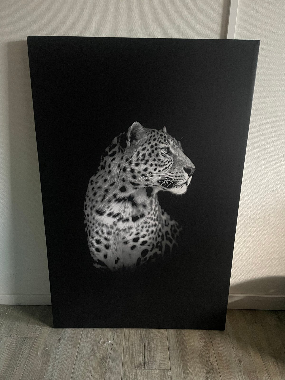 Stijlvol Luipaard Schilderij - Zwart-wit Print op Canvas, Ophalen, Nieuw, Print, 75 – 100