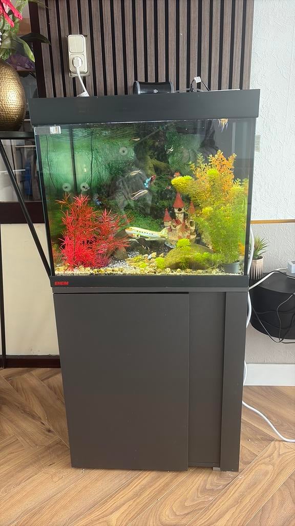 Aquarium Eheim 150 liter compleet., Dieren en Toebehoren, Vissen | Aquariumvissen, Vis