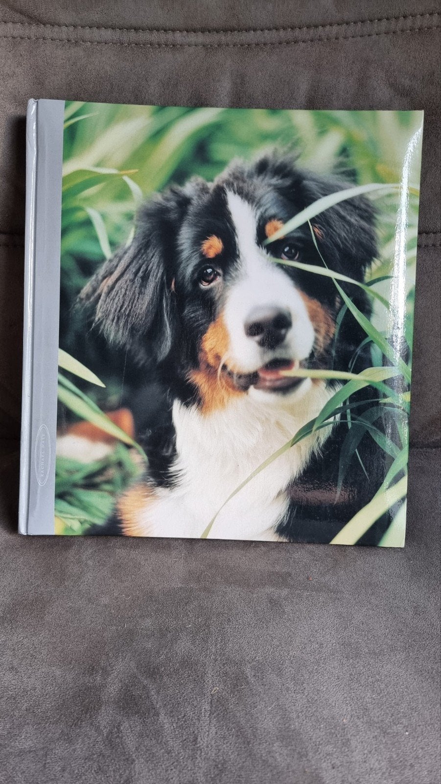 NIEUW FOTOALBUM BERNER SENNER HOND - INFO ZIE ADVERTENTIE, Ophalen of Verzenden, Nieuw