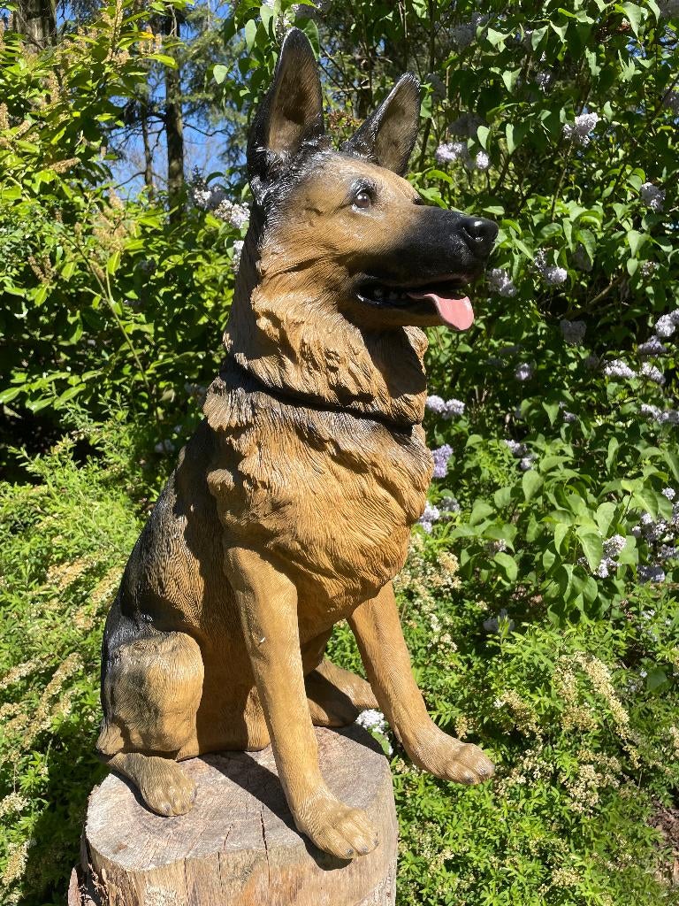 Beeld Duitse herder, Orig honden, tuin, vijver 75 cm, Ophalen, Nieuw, Kunststof, Dierenbeeld