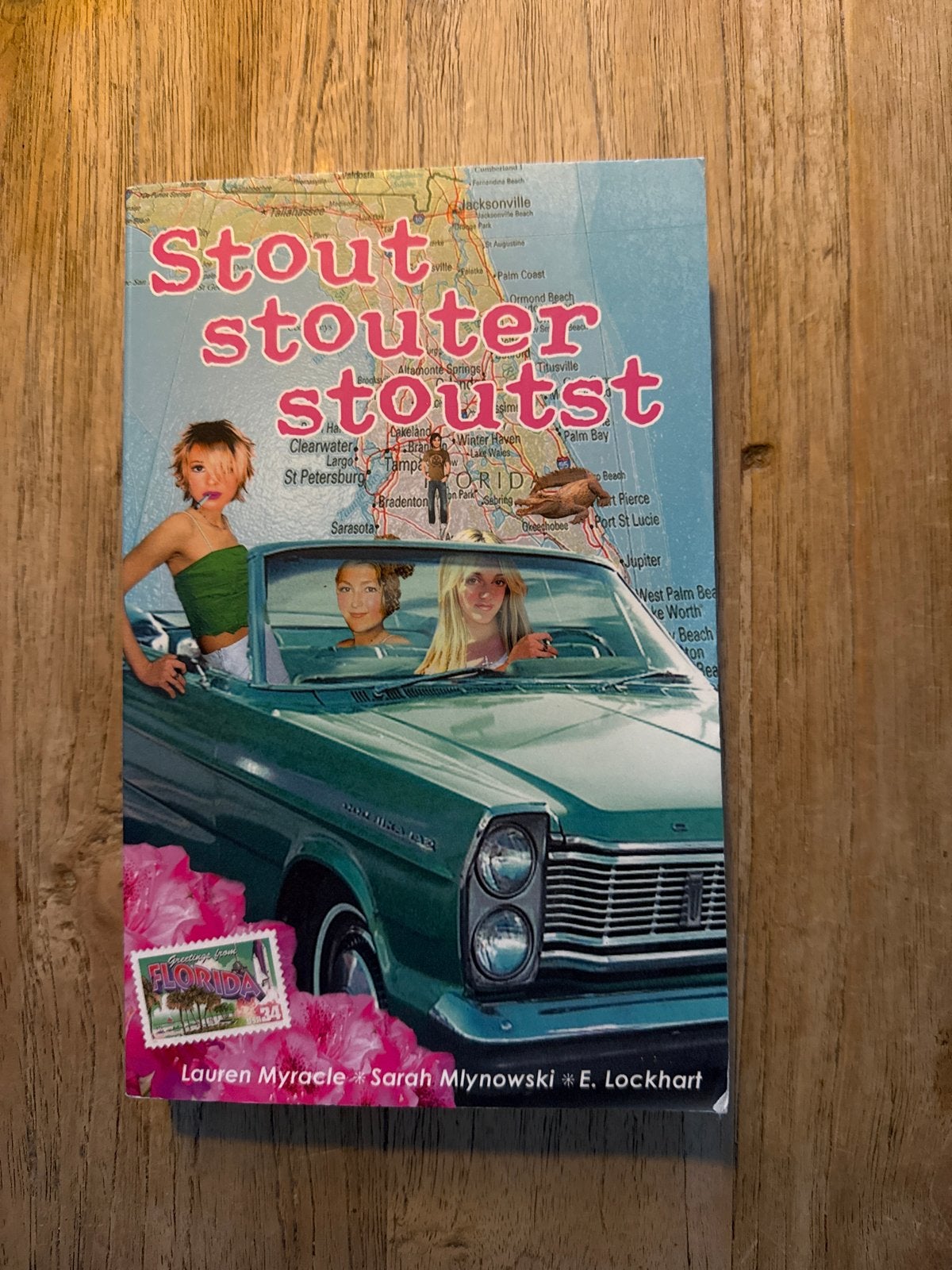 Stout, Stouter, Stoutst - Drie meiden op een roadtrip, Ophalen of Verzenden, Gelezen, Nederland