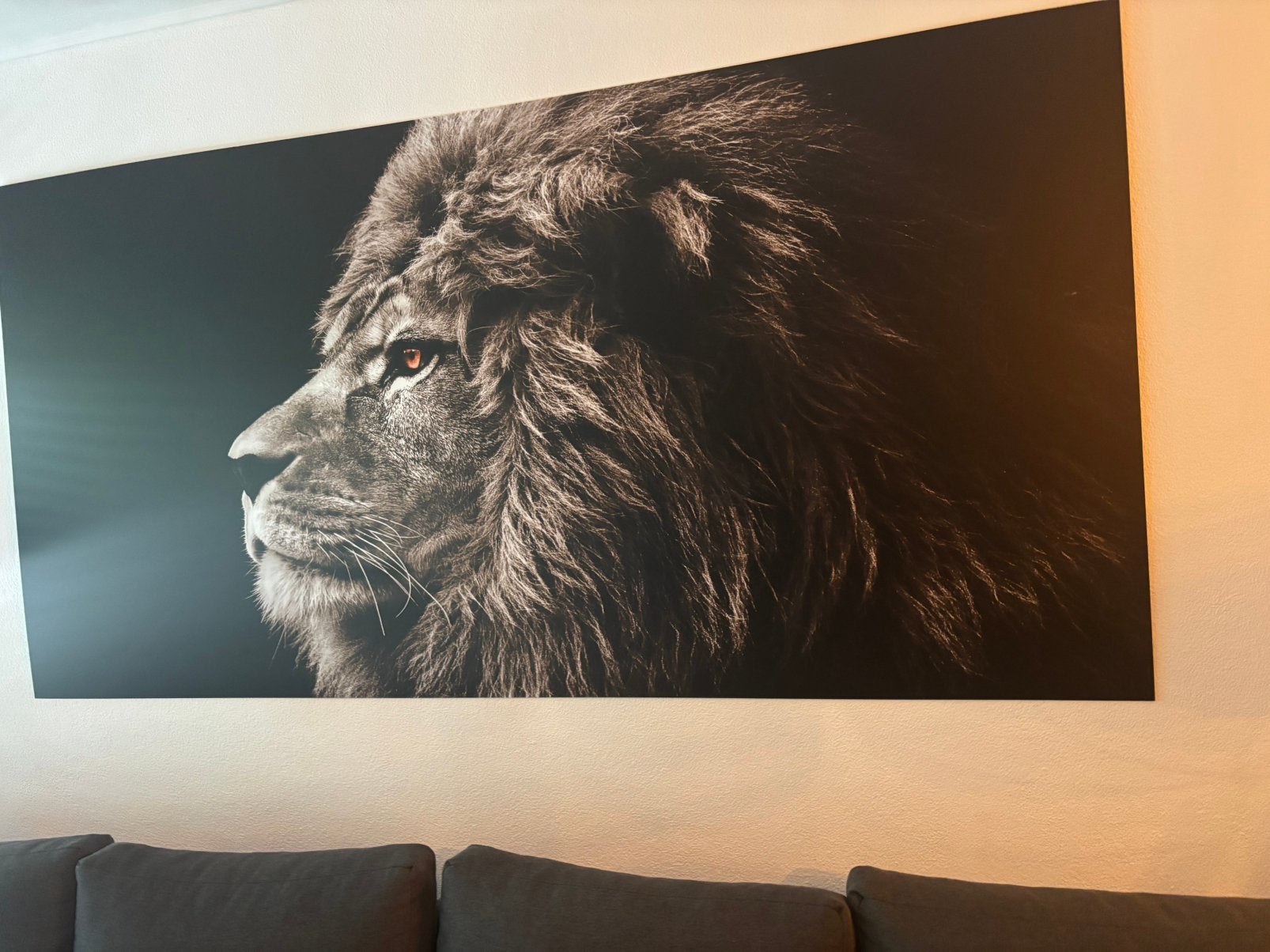 Zeer grote mooie leeuwenkop print makkelijk op te hangen, Ophalen, Zo goed als nieuw, Print