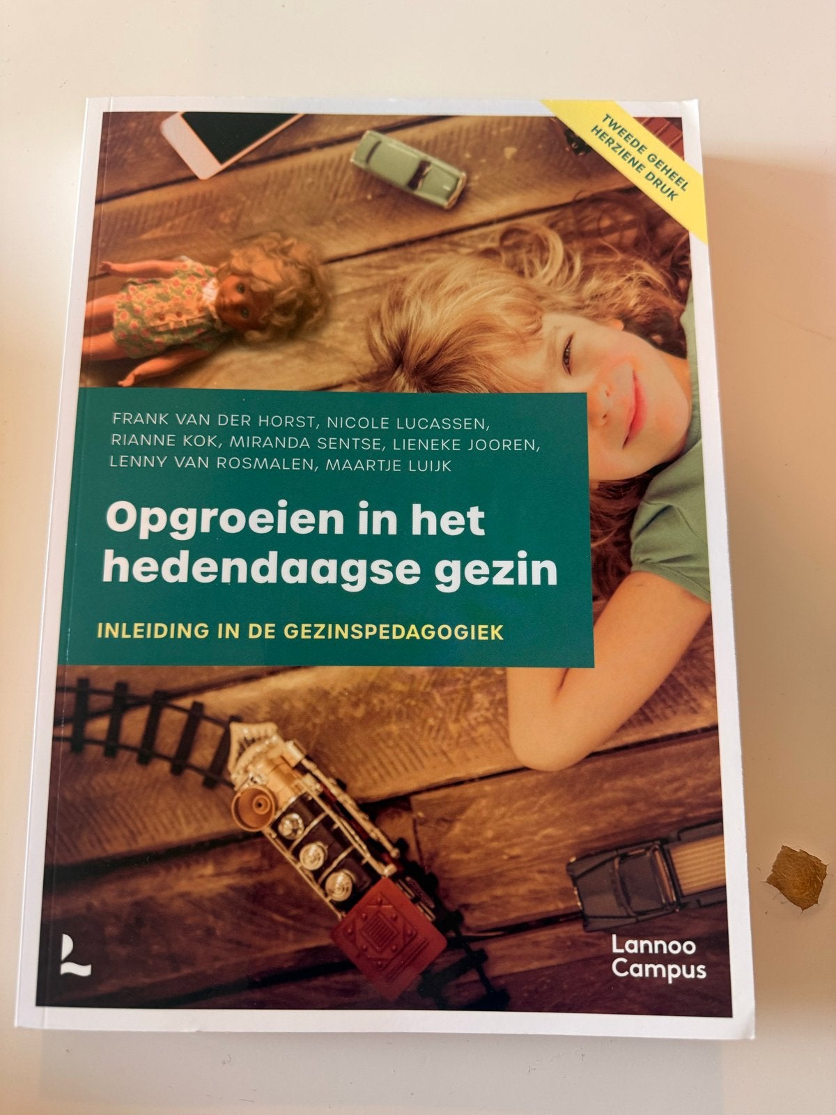 Opgroeien in het hedendaagse gezin - Gezinswetenschappen PEP, Ophalen of Verzenden, Gamma, Zo goed als nieuw, HBO