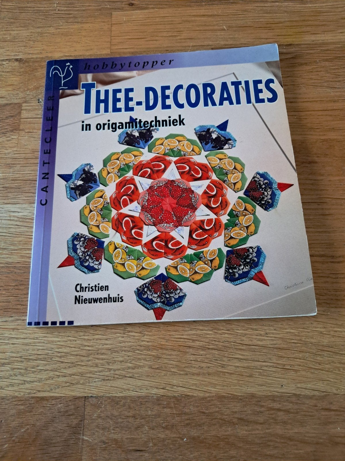 Thee-Decoraties in Origamitechniek - Christien Nieuwenhuis, Gebruikt, Ophalen of Verzenden, Papier of Karton, Knutselboek