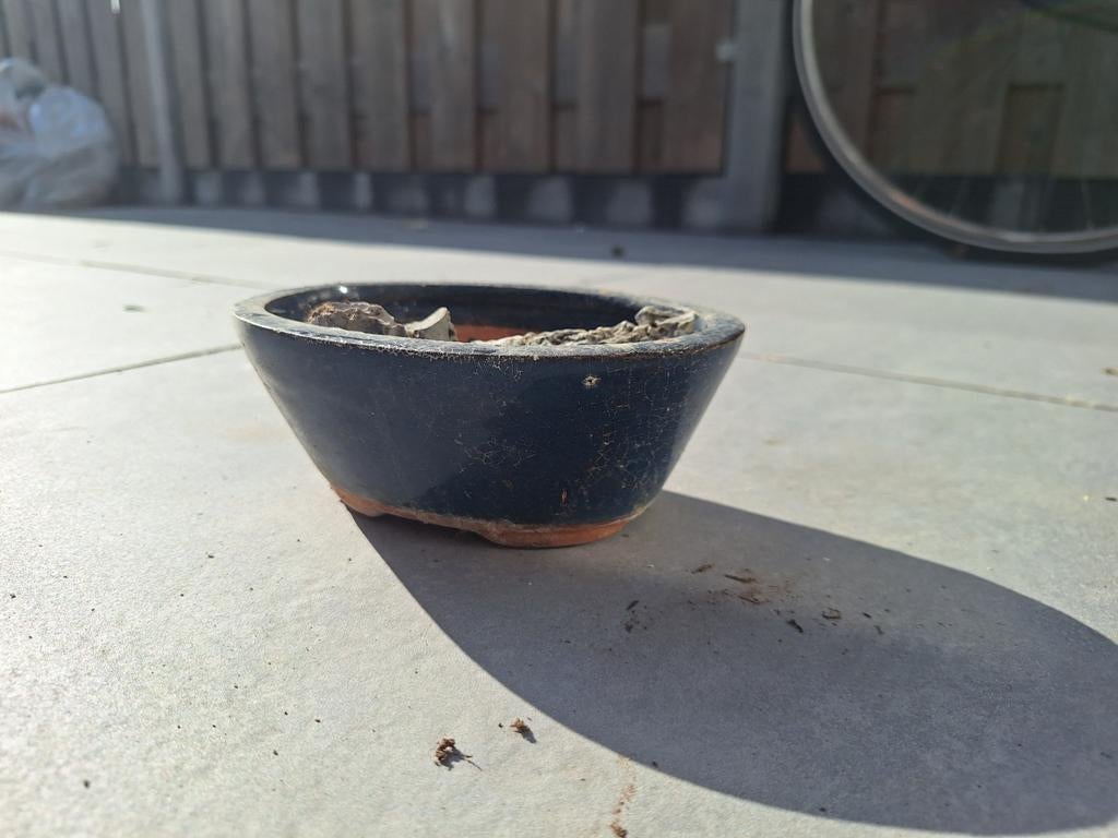 Bonsai potten - set van 2, Steen, Gebruikt, Minder dan 30 cm, Minder dan 60 cm