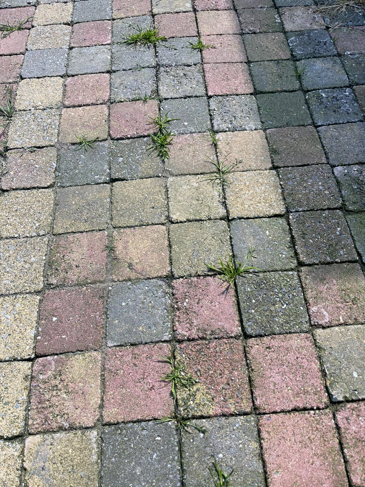 Mooie klinkertjes, Tuin en Terras, Tegels en Klinkers, Ophalen, Zo goed als nieuw, Beton, Terrastegels