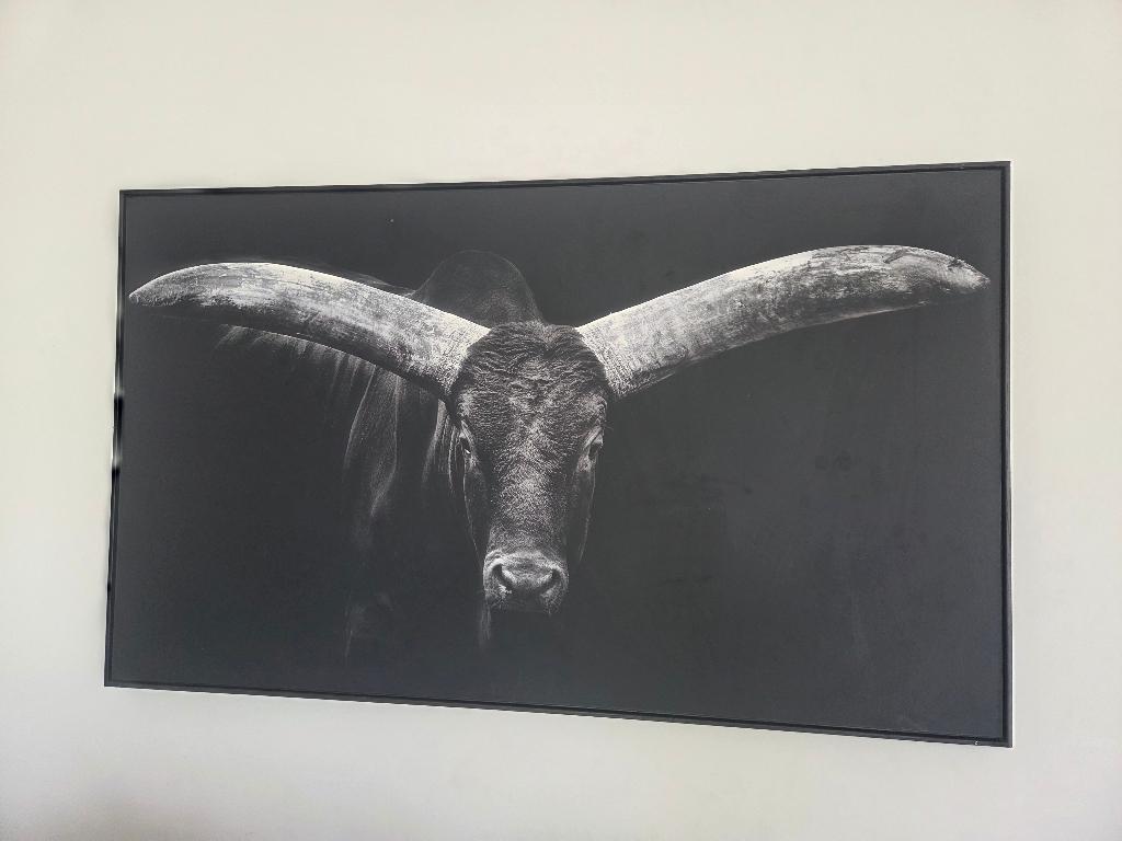 Canvas, Ophalen, Gebruikt, 50 tot 75 cm, Schilderij