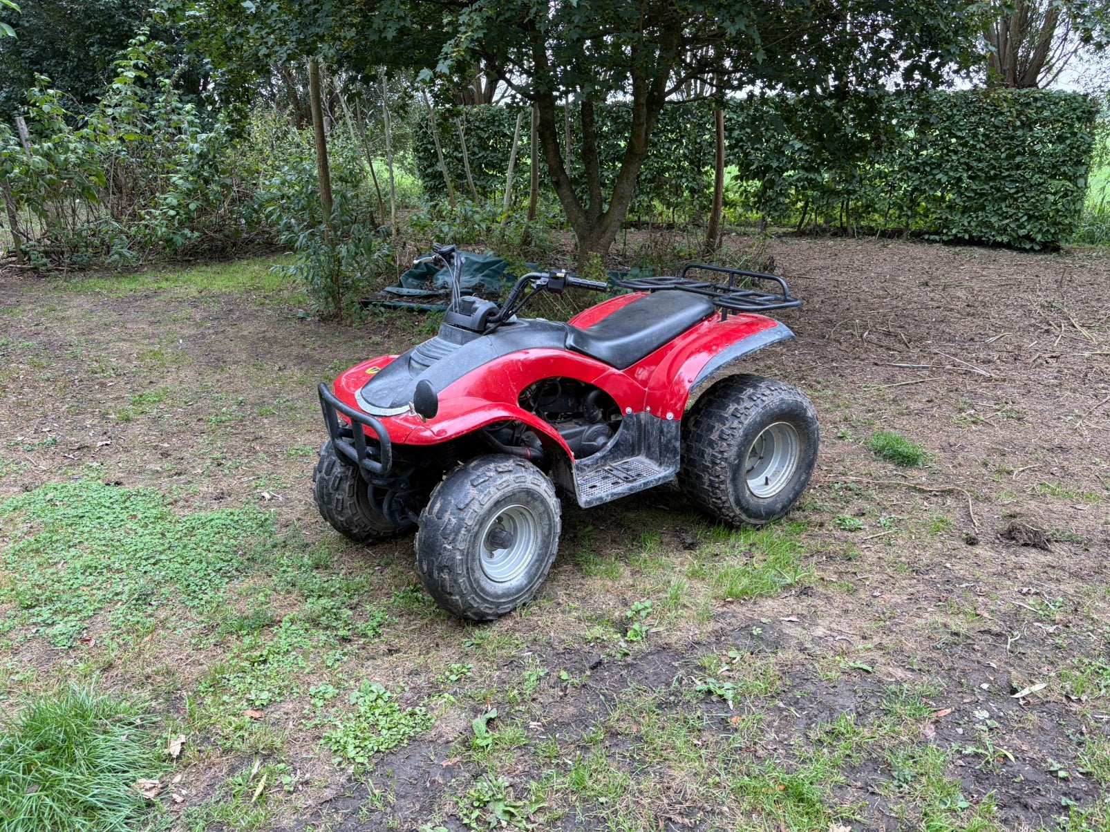 150 cc Eton quad, Ophalen of Verzenden, Gebruikt, Overige merken