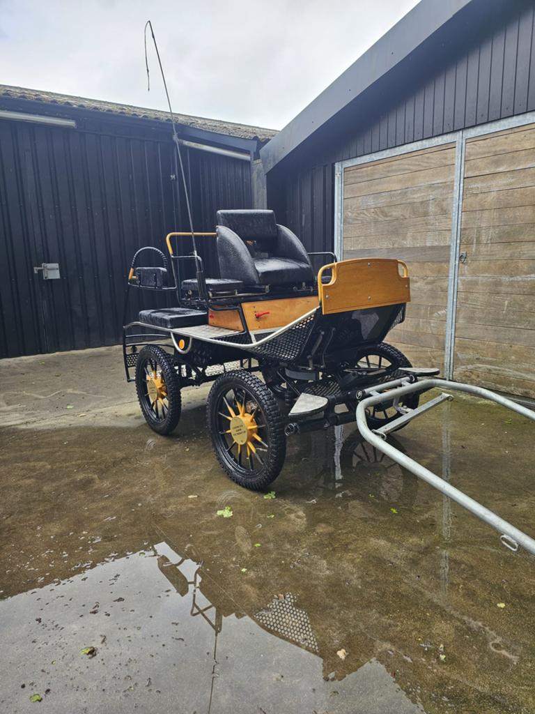 Nette Marathon wagen menwagen, Zo goed als nieuw, Marathonwagen, Paard