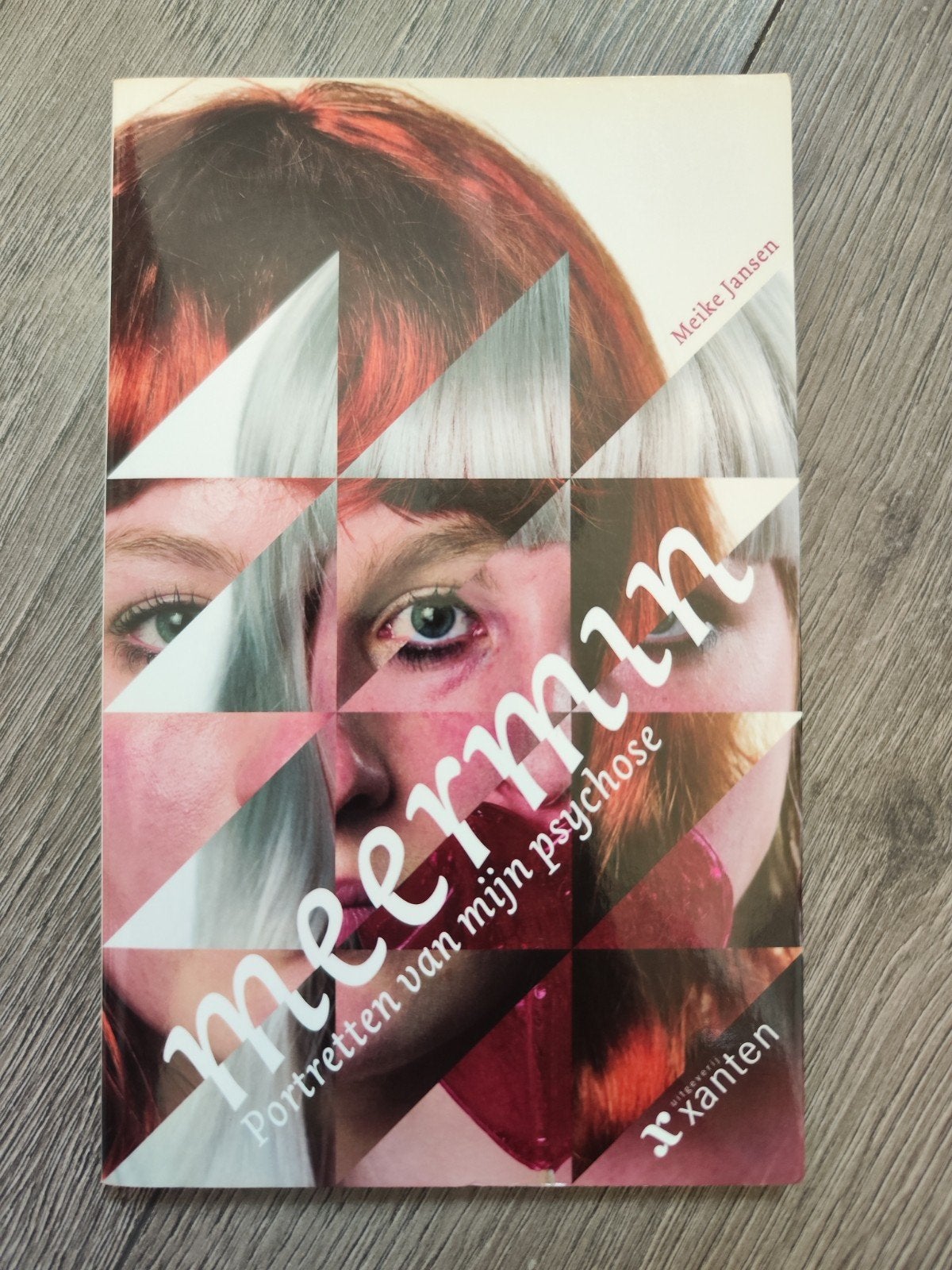 Meermin: portretten van mijn psychose – Meike Jansen, Ophalen of Verzenden, Zo goed als nieuw, Meike Jansen