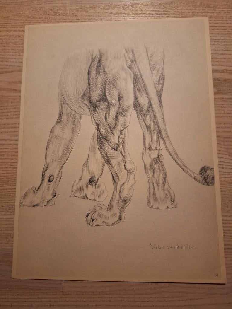 Litho Herbert van der Poll, Ophalen of Verzenden