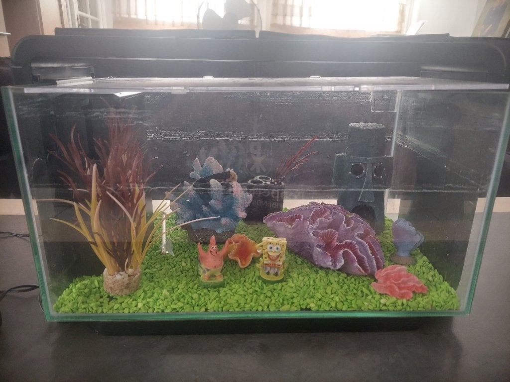 Glazen agariumset met letlamp te koop 20 liter, Ophalen, Gebruikt, Leeg aquarium