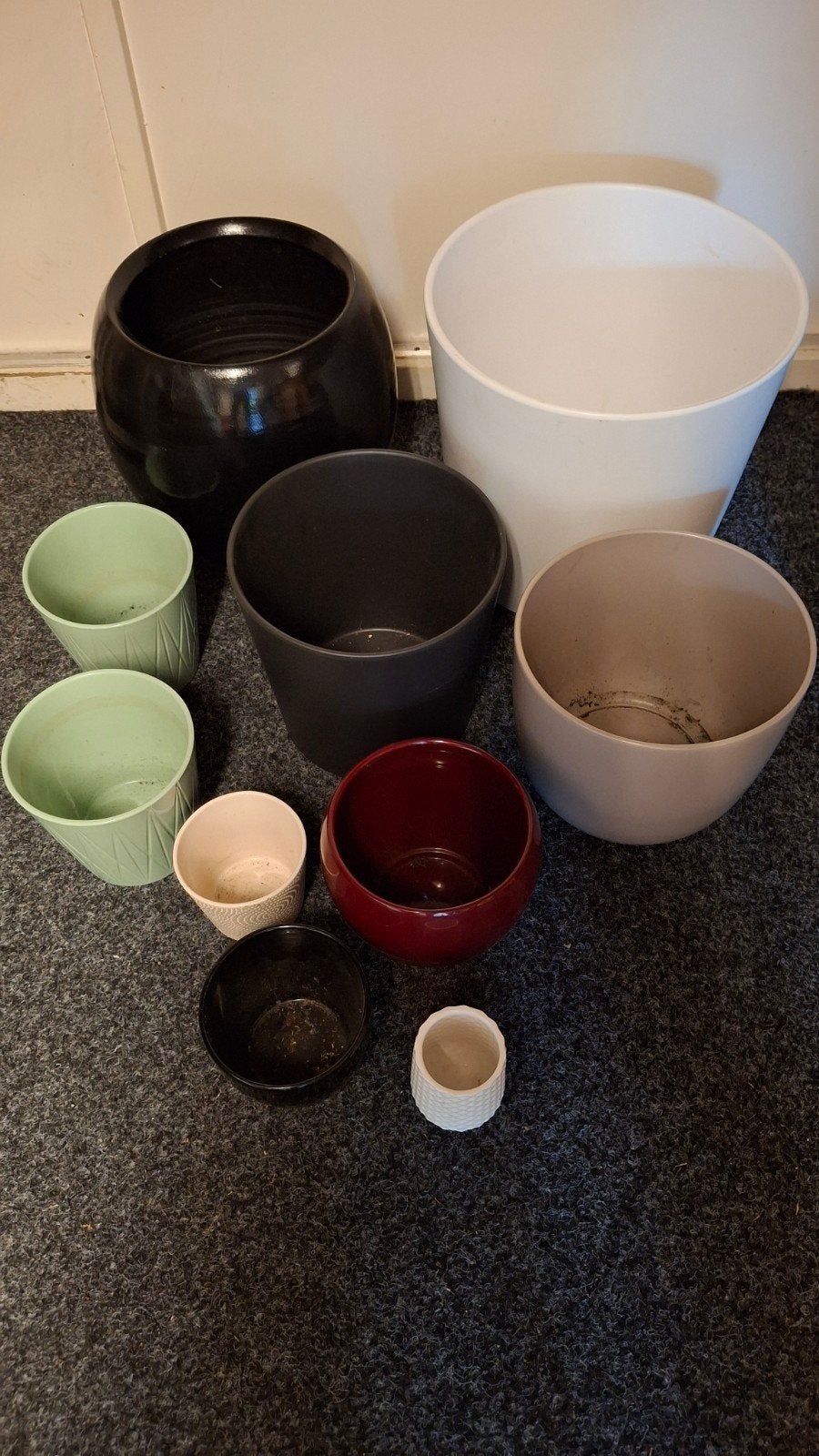 Bloempotten, Huis en Inrichting, Ophalen of Verzenden, Halfschaduw, Minder dan 100 cm
