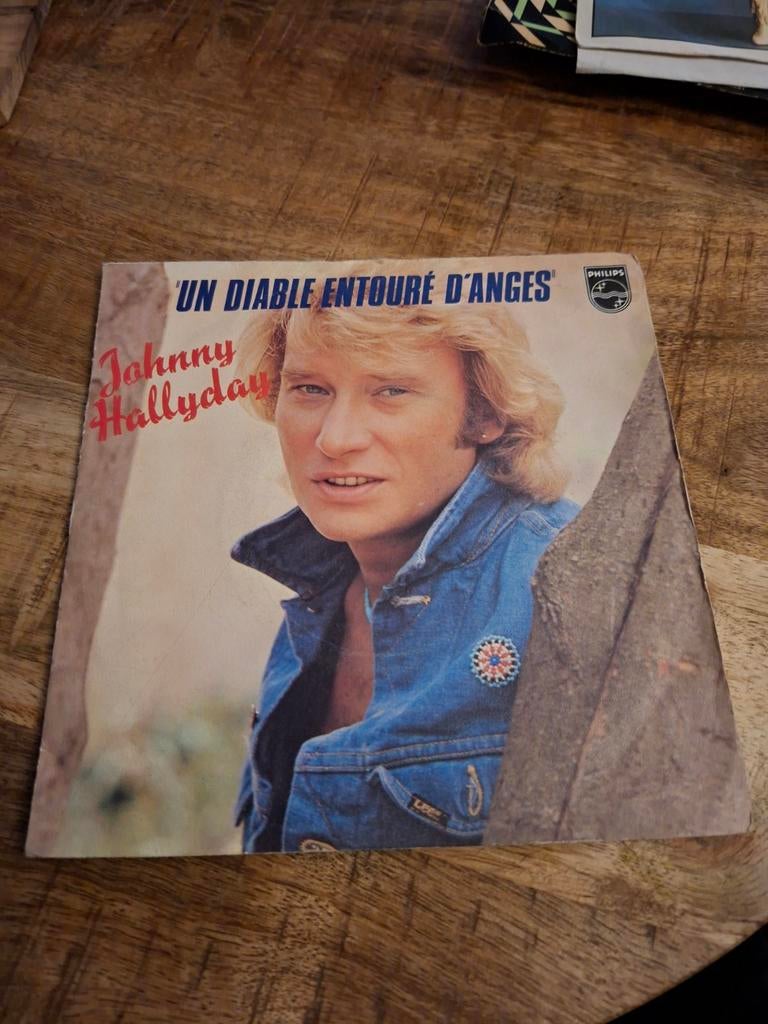 Johnny Hallyday  / un diable entouré d'anges, Ophalen of Verzenden, Gebruikt, Pop