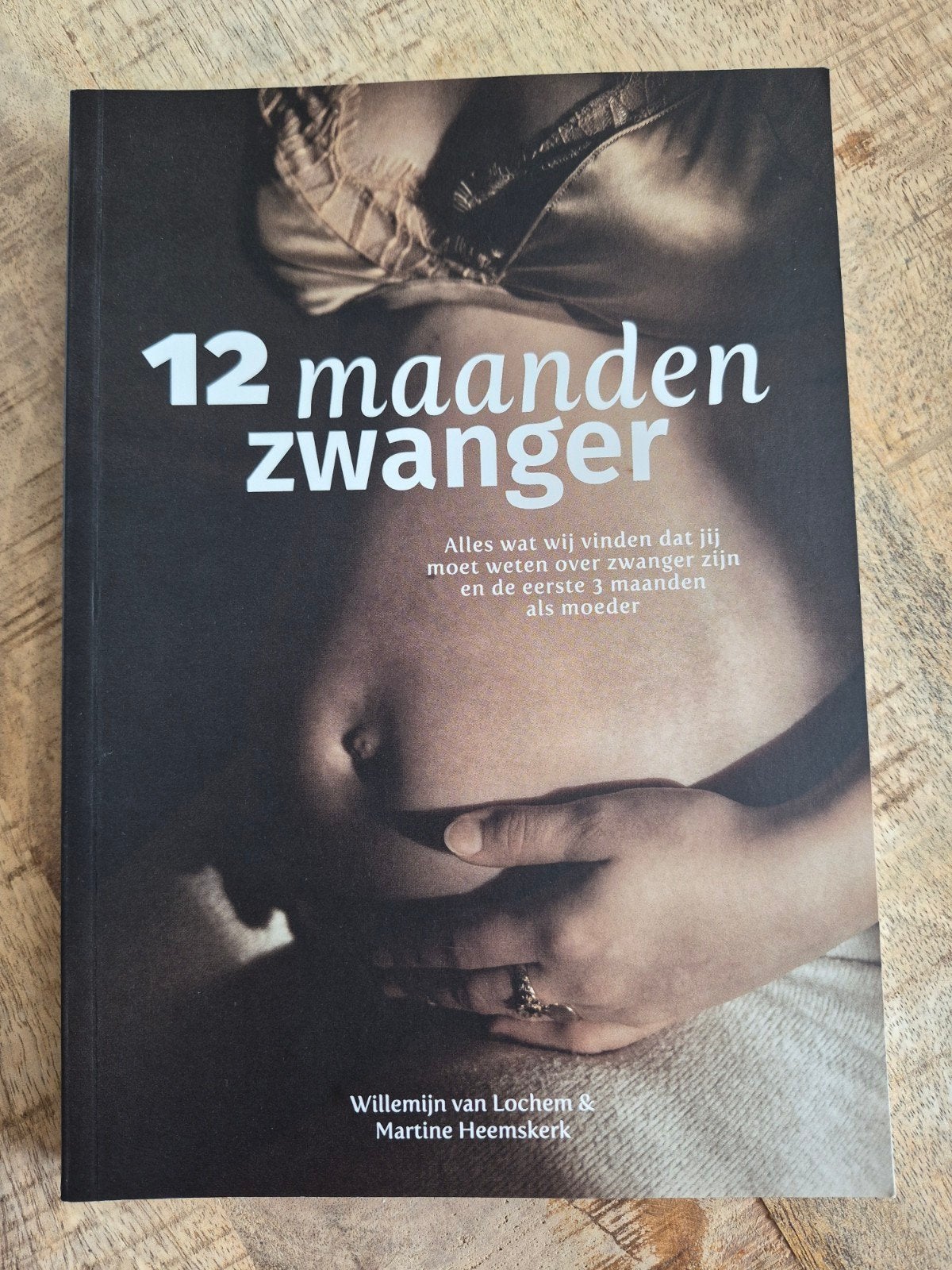 12 maanden zwanger - Willem. van Lochem & Martine Heemskerk, Boeken, Zwangerschap en Opvoeding, Ophalen of Verzenden, Gelezen