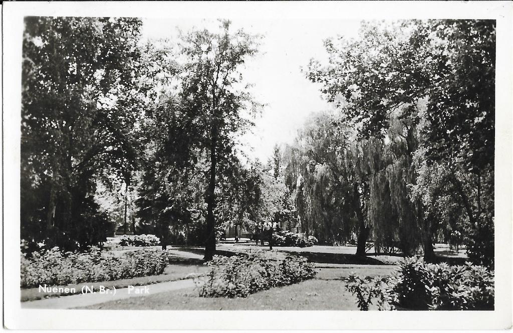 Nuenen, Park, bomen, Verzenden, 1940 tot 1960, Gelopen, Noord-Brabant