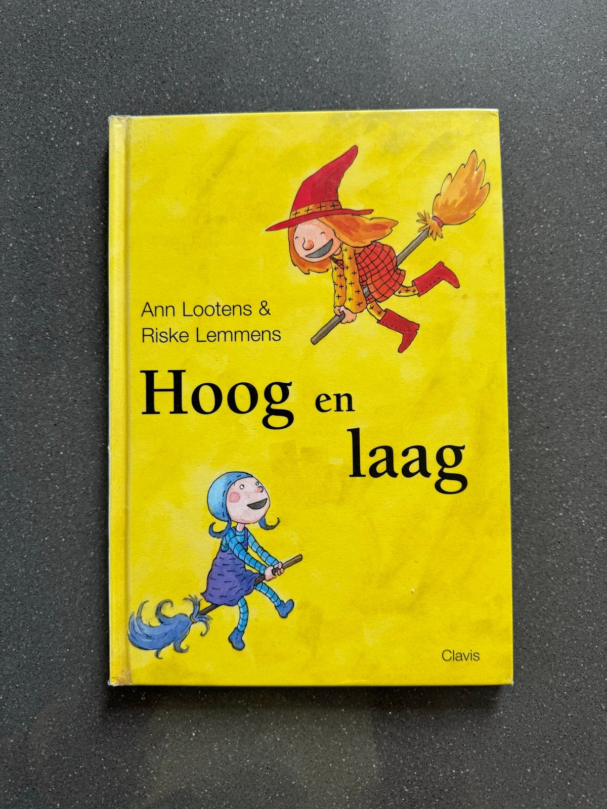 Hoog en Laag - Ann Lootens & Riske Lemmens, Non-fictie, Jongen of Meisje, Ophalen of Verzenden, Zo goed als nieuw
