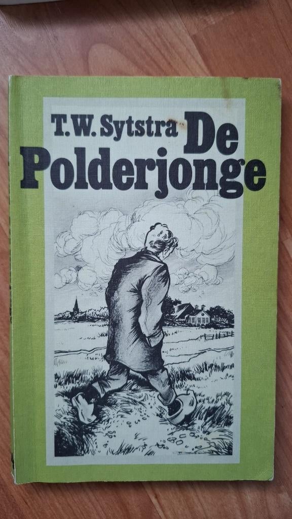Friese boeken (25 stuks, Riek Landman, Anders M. Rozendal), Boeken, Ophalen of Verzenden, Gelezen, Riek Landman, Nederland