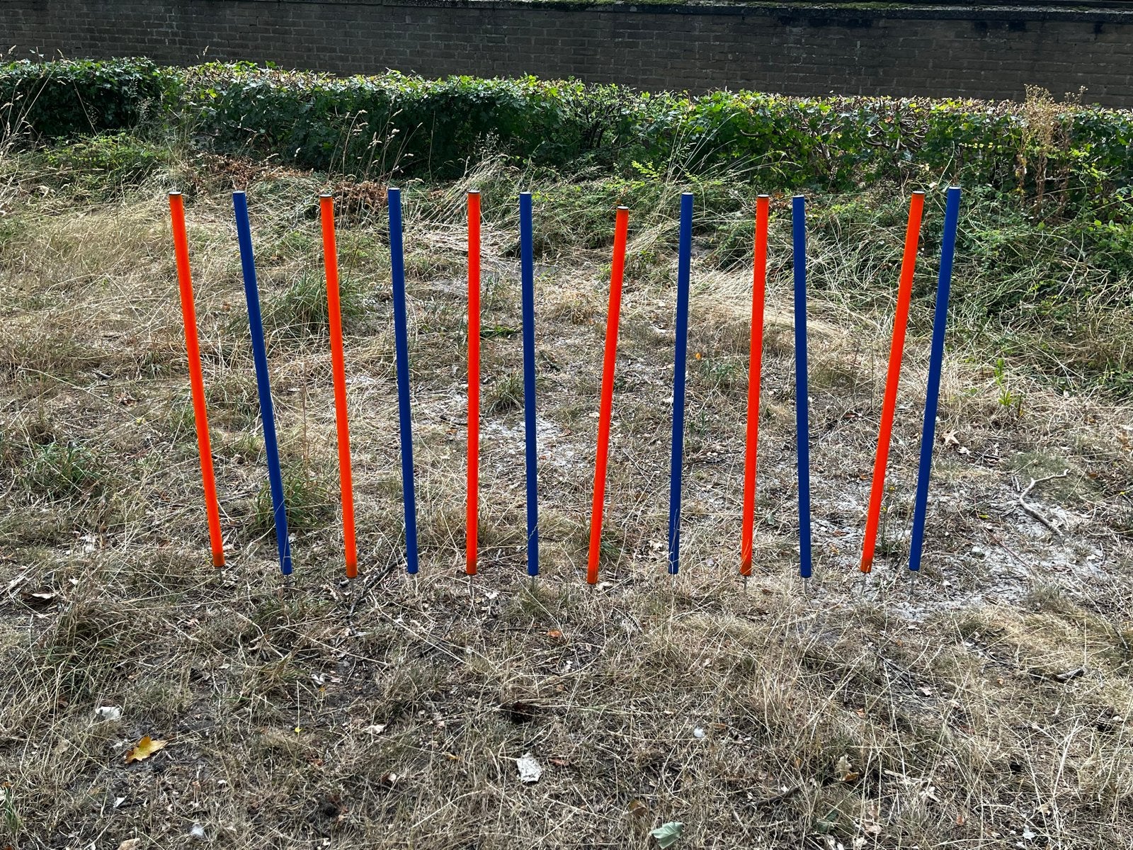 Agility paaltjes voor hond, Dieren en Toebehoren, Ophalen, Zo goed als nieuw, Hondenspeelgoed