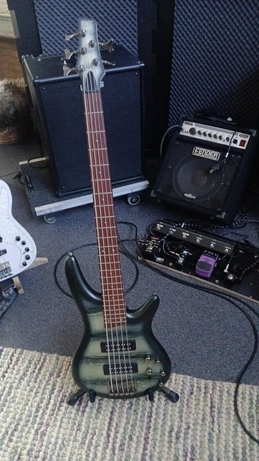 Ibanez SDGR 305 5-snarige basgitaar, Ophalen