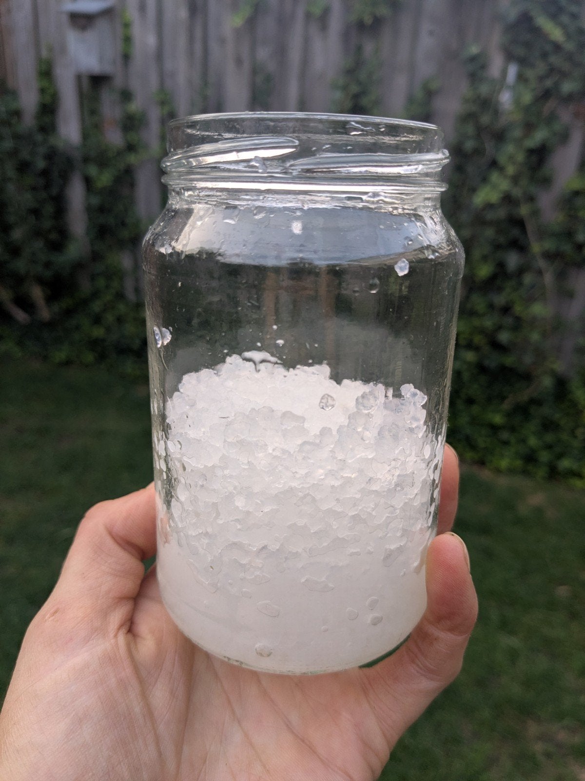 waterkefir 100 gram, Ophalen of Verzenden