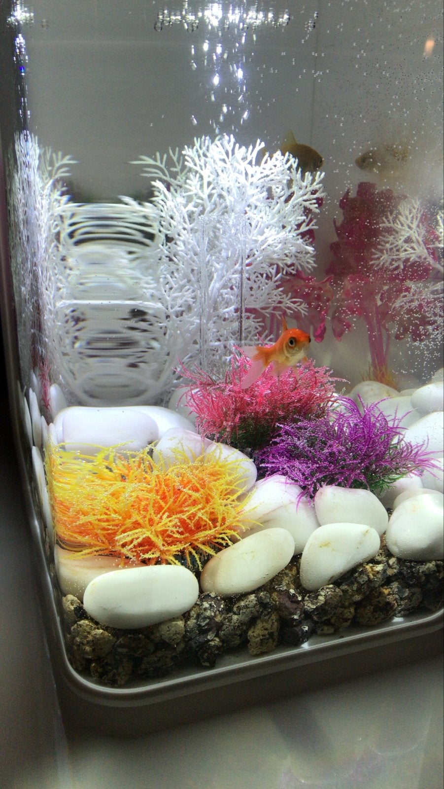 OASE biOrb FLOW 30 LED in wit (26 cm x 38 cm x 39 cm), Inclusief deksel, Overige merken, Ophalen of Verzenden, Zo goed als nieuw