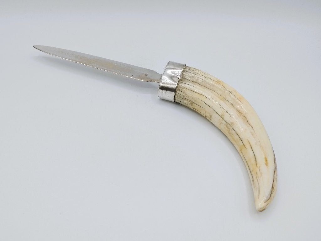 Zilveren brievenopener met als heft slagtand wrattenzwijn, Verzenden, Zilver