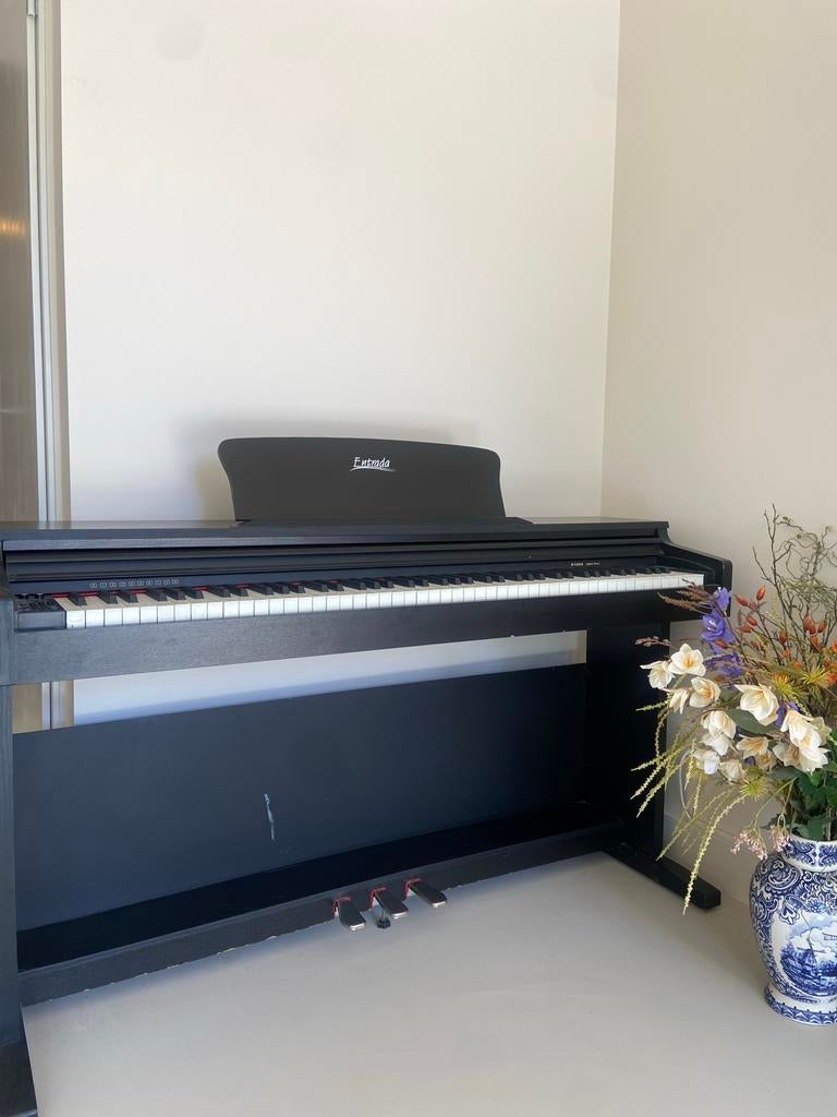 Entrada Digitale Piano - D100A, Muziek en Instrumenten, Piano's, Ophalen, Gebruikt, Zwart, Digitaal