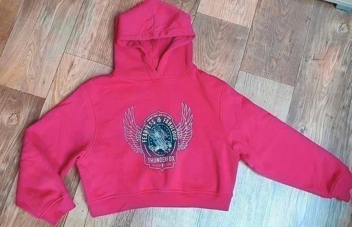 Mooie hoodie van Thunderfox Maat M, Kleding | Dames, Ophalen of Verzenden, Zo goed als nieuw, Maat 38/40 (M), Roze