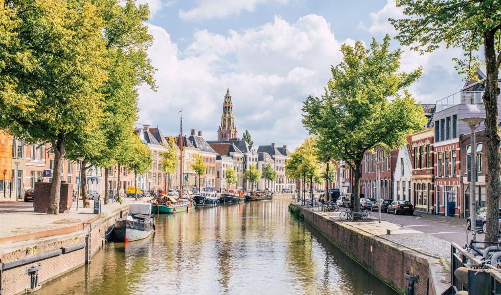 GEZOCHT: Beleggingspanden Groningen