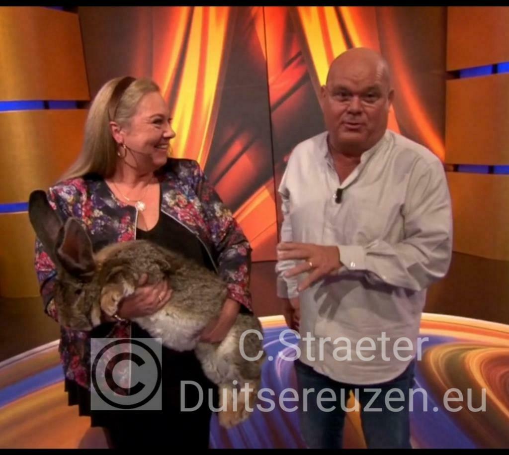De ECHTE Duitse reus konijnen., Dieren en Toebehoren, Konijnen, Meerdere dieren, Groot, 0 tot 2 jaar