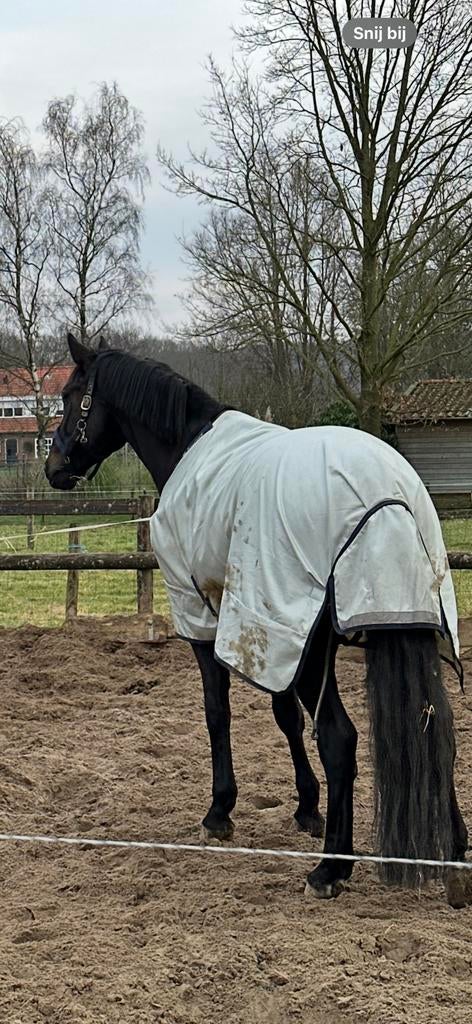 Bucas Power Turnout medium 155/205, Ophalen of Verzenden, Zo goed als nieuw