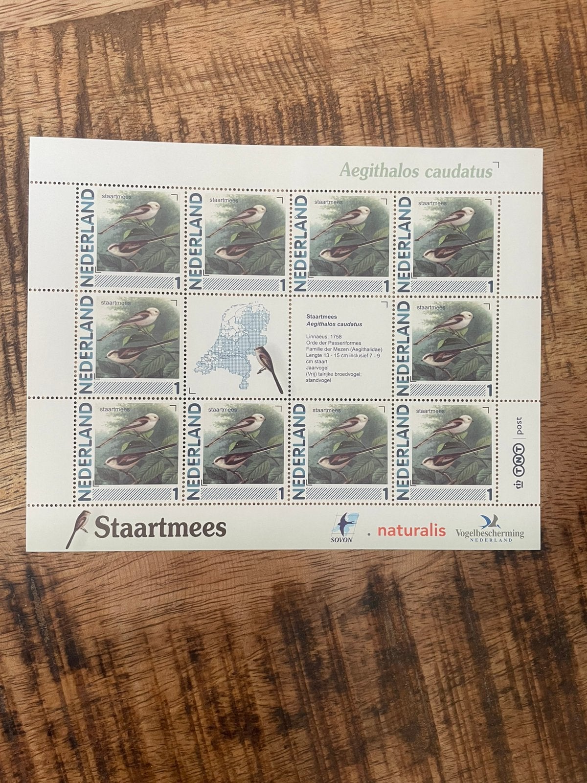 Vel Persoonlijke Postzegels Vogels in Ned StaartmeesPostfris, Postzegels en Munten, Postzegels | Nederland, Ophalen of Verzenden
