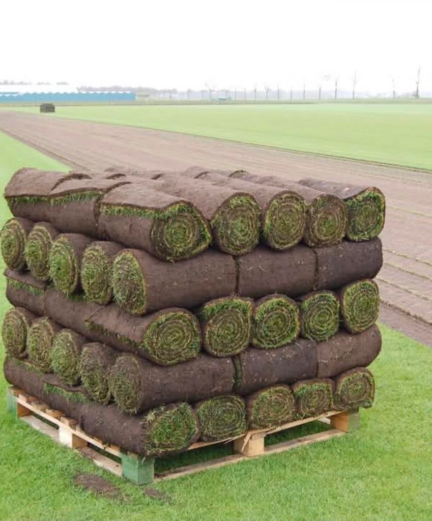 Verse Graszoden, Tuin en Terras, Gras en Kunstgras, Nieuw, Gras, 20 m² of meer, Ophalen of Verzenden
