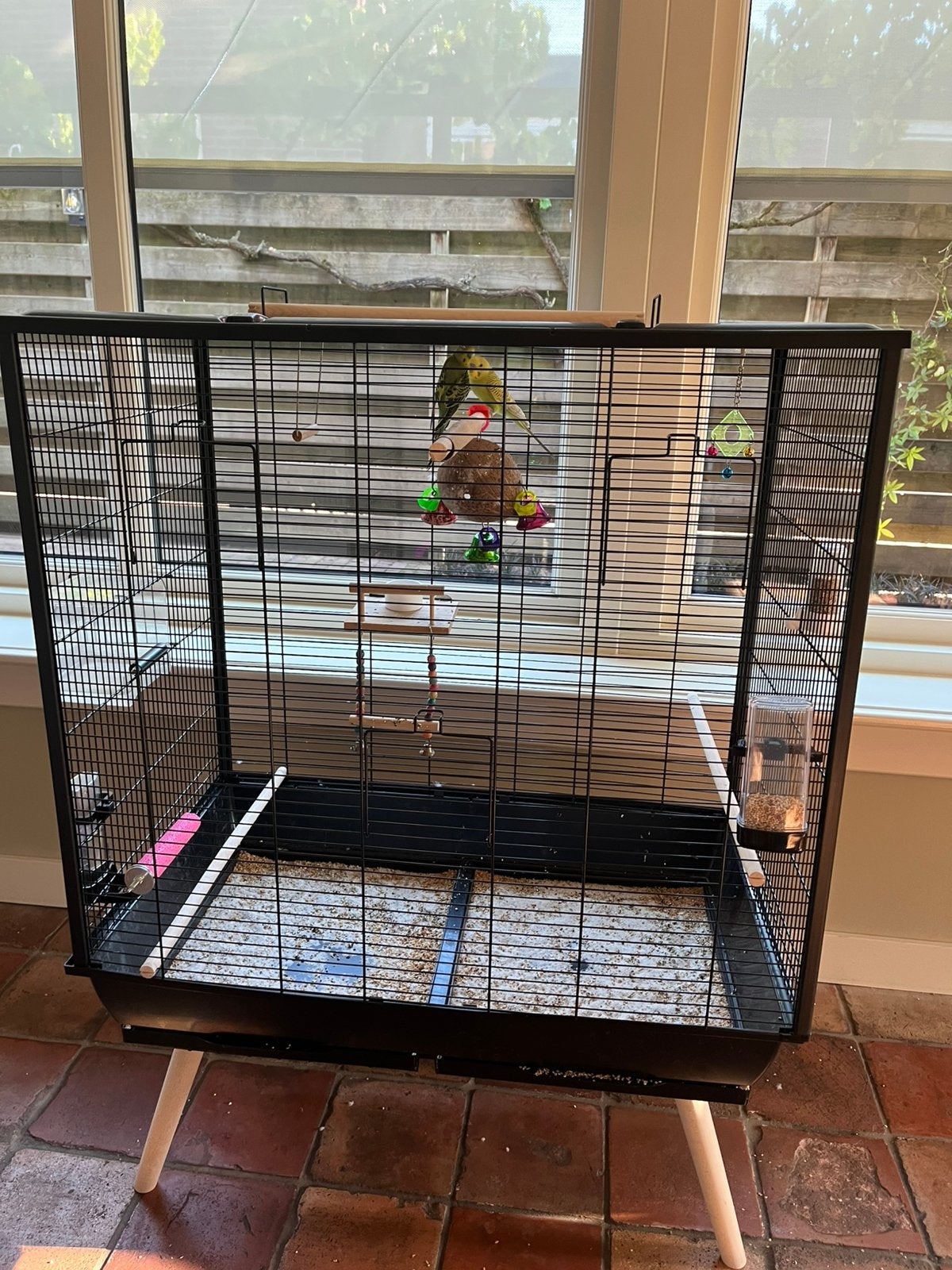 Parkieten groen/geel paar met grote kooi !, Ophalen of Verzenden, Zo goed als nieuw, Metaal, Vogelkooi