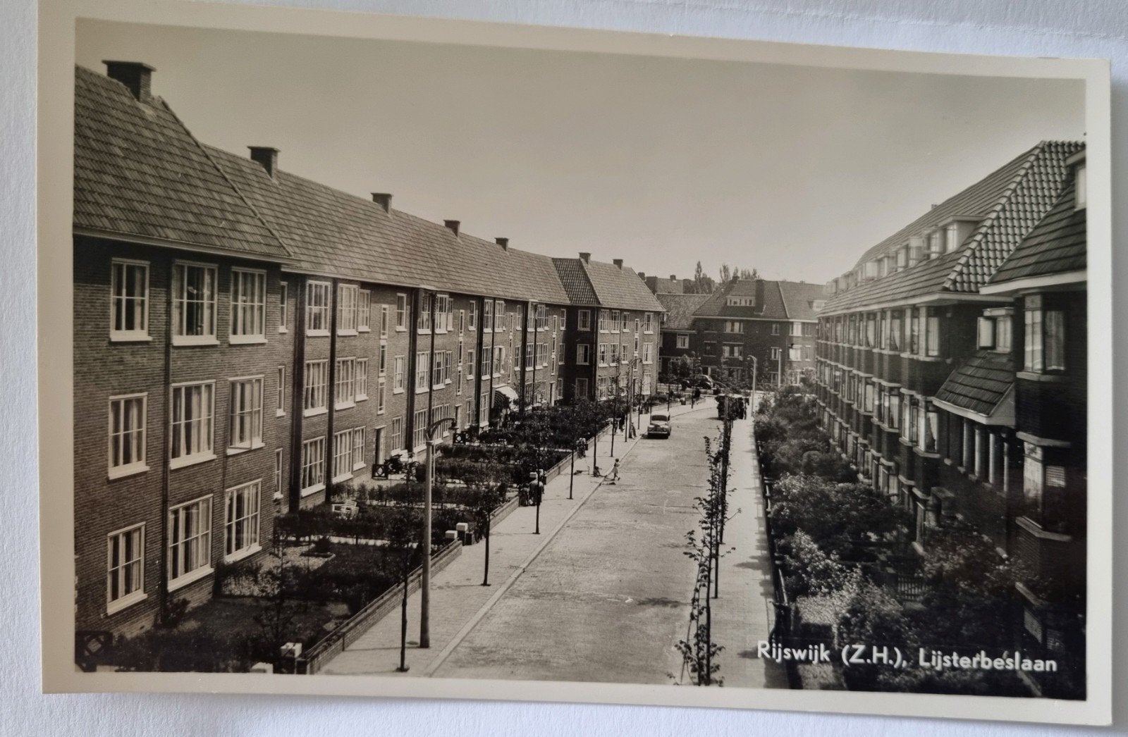 Krt.1083. Rijswijk (Z.H.) Lijsterbeslaan -Echte Fotokaart, Verzamelen, Ophalen of Verzenden, Ongelopen, Zuid-Holland