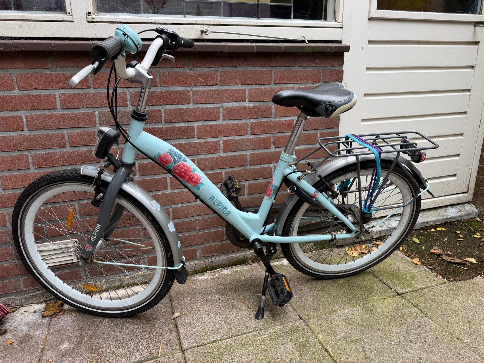 Alpina Clubfiets 24 inch, Ophalen, Velgrem, Handrem, Gebruikt