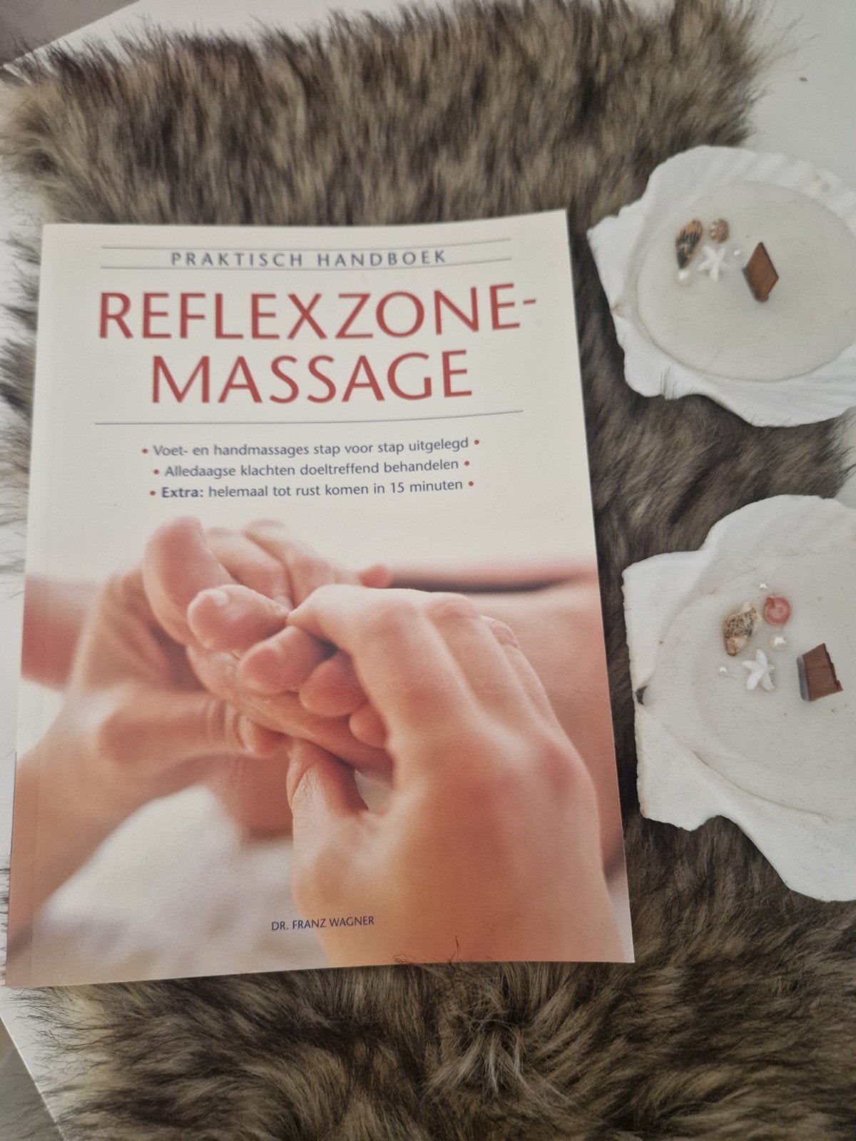 Praktisch Handboek Reflexzone-massage - 9789043818810, Boeken, Ophalen of Verzenden, Zo goed als nieuw