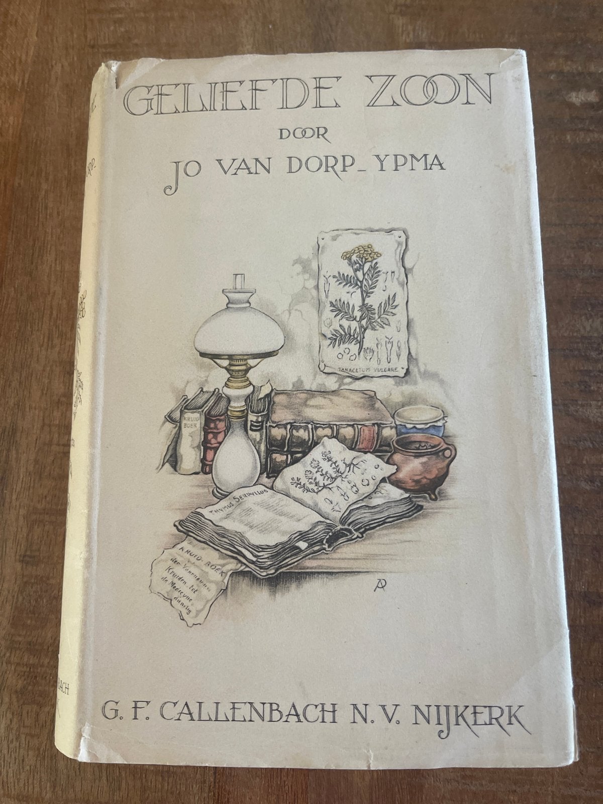 Geliefde Zoon - Jo van Dorp-Ypma (Anton Pieck illustraties), Ophalen of Verzenden, Gelezen, Nederland