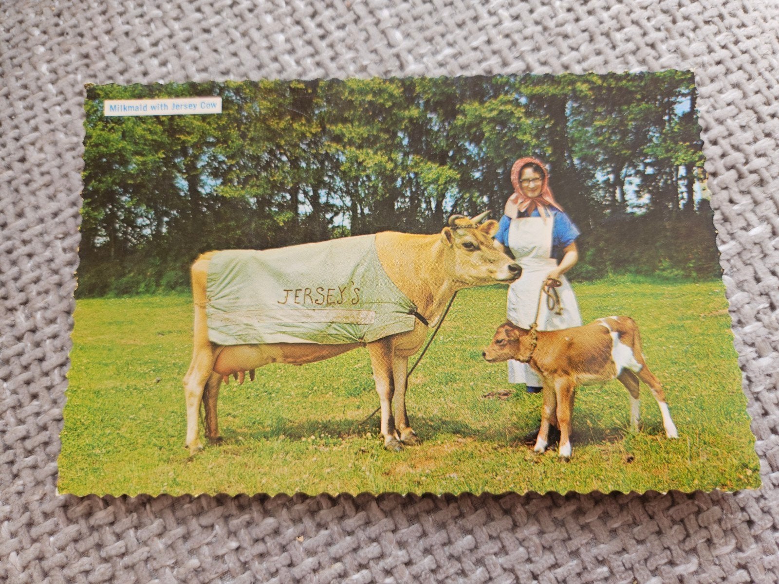 koeien  Melkmeisje met Jersey Koe, Ophalen of Verzenden, 1960 tot 1980, Ongelopen