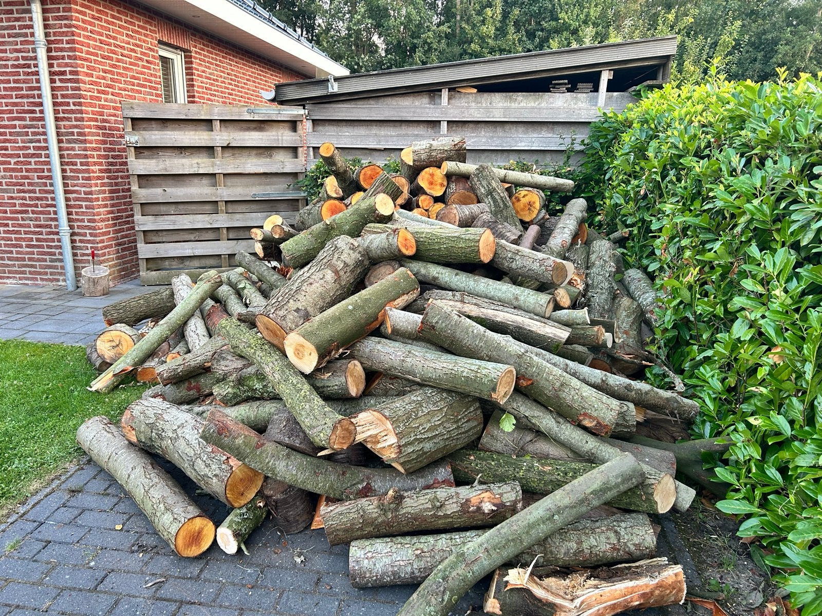 Mooie partij openhaardhout - 8 kuub, 6 m³ of meer, Ophalen, Overige houtsoorten, Blokken